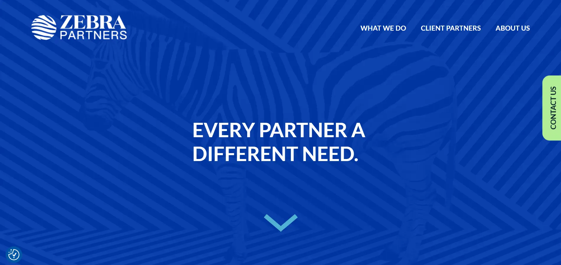Zebra Partners